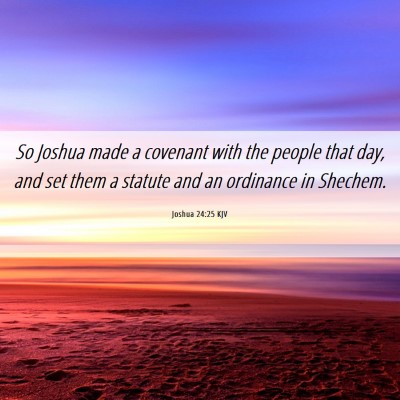 Picture 06 - Joshua 24:25 KJV - So Joshua made a covenant with the people that - Bible Verse Picture