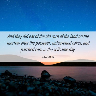Picture 06 - Joshua 5:11 KJV - And they did eat of the old corn of the land on - Bible Verse Picture