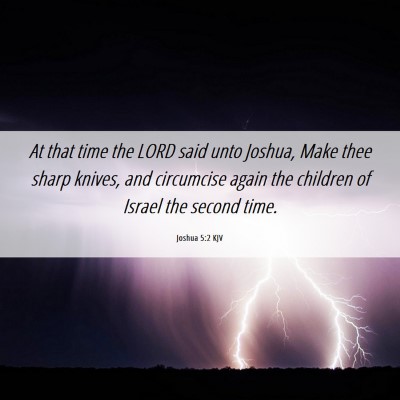 Picture 06 - Joshua 5:2 KJV - At that time the LORD said unto Joshua, Make thee - Bible Verse Picture