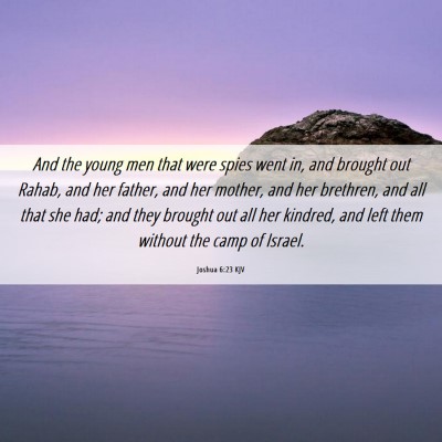 Picture 06 - Joshua 6:23 KJV - And the young men that were spies went in, and - Bible Verse Picture