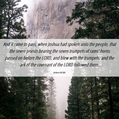 Picture 06 - Joshua 6:8 KJV - And it came to pass, when Joshua had spoken unto - Bible Verse Picture
