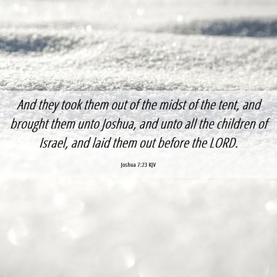Picture 06 - Joshua 7:23 KJV - And they took them out of the midst of the tent, - Bible Verse Picture