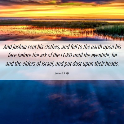 Picture 06 - Joshua 7:6 KJV - And Joshua rent his clothes, and fell to the - Bible Verse Picture
