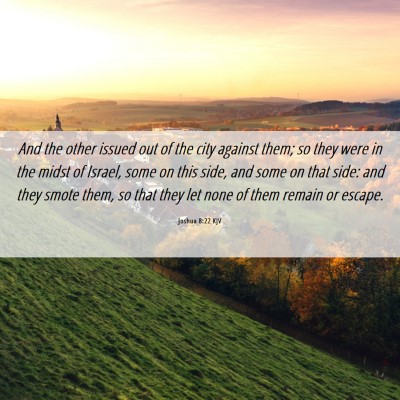 Picture 06 - Joshua 8:22 KJV - And the other issued out of the city against - Bible Verse Picture