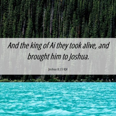 Picture 06 - Joshua 8:23 KJV - And the king of Ai they took alive, and brought - Bible Verse Picture