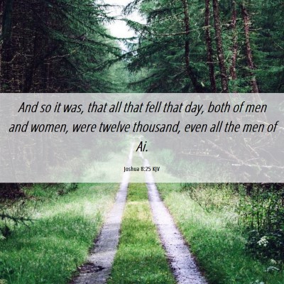 Picture 06 - Joshua 8:25 KJV - And so it was, that all that fell that day, both - Bible Verse Picture
