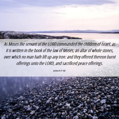 Picture 06 - Joshua 8:31 KJV - As Moses the servant of the LORD commanded the - Bible Verse Picture