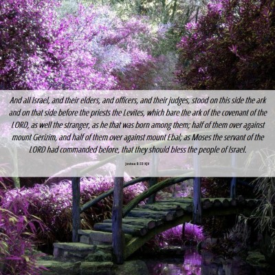 Picture 06 - Joshua 8:33 KJV - And all Israel, and their elders, and officers, - Bible Verse Picture