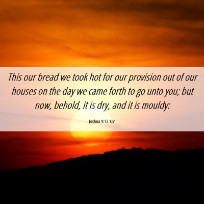 Picture 06 - Joshua 9:12 KJV - This our bread we took hot for our provision out - Bible Verse Picture