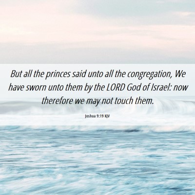 Picture 06 - Joshua 9:19 KJV - But all the princes said unto all the - Bible Verse Picture