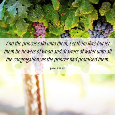Picture 06 - Joshua 9:21 KJV - And the princes said unto them, Let them live; - Bible Verse Picture