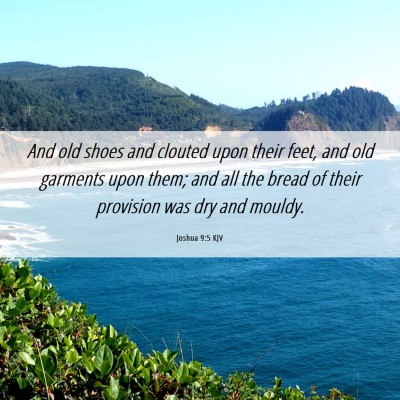 Picture 06 - Joshua 9:5 KJV - And old shoes and clouted upon their feet, and - Bible Verse Picture