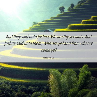 Picture 06 - Joshua 9:8 KJV - And they said unto Joshua, We are thy servants. - Bible Verse Picture