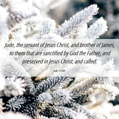 Picture 06 - Jude 1:1 KJV - Jude, the servant of Jesus Christ, and brother of - Bible Verse Picture