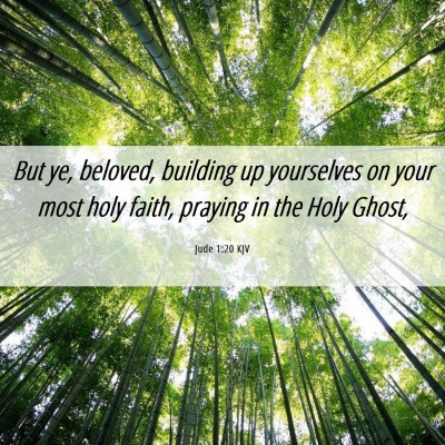 Picture 06 - Jude 1:20 KJV - But ye, beloved, building up yourselves on your - Bible Verse Picture