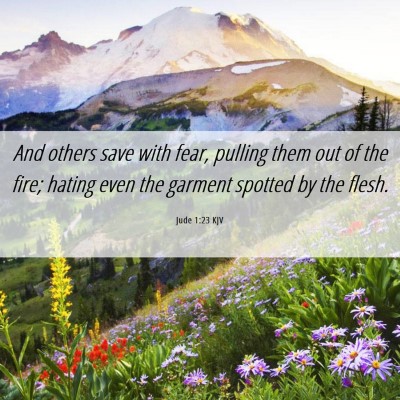 Picture 06 - Jude 1:23 KJV - And others save with fear, pulling them out of - Bible Verse Picture