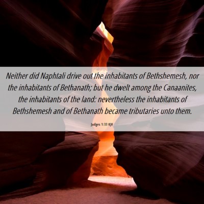 Picture 06 - Judges 1:33 KJV - Neither did Naphtali drive out the inhabitants of - Bible Verse Picture