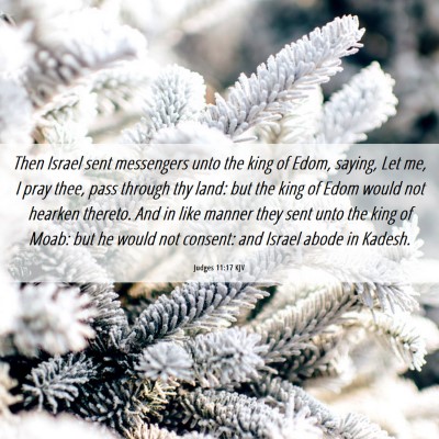 Picture 06 - Judges 11:17 KJV - Then Israel sent messengers unto the king of - Bible Verse Picture