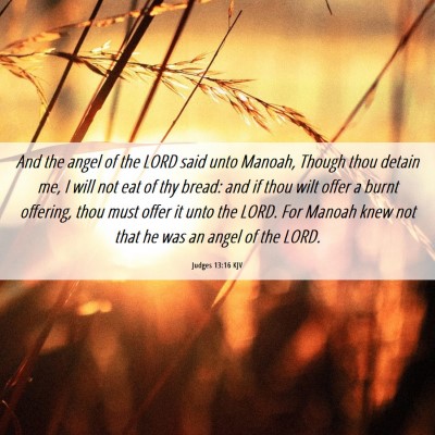 Picture 06 - Judges 13:16 KJV - And the angel of the LORD said unto Manoah, - Bible Verse Picture