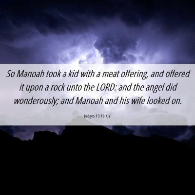 Picture 06 - Judges 13:19 KJV - So Manoah took a kid with a meat offering, and - Bible Verse Picture