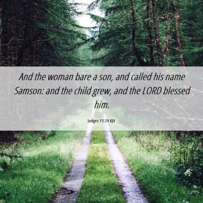 Picture 06 - Judges 13:24 KJV - And the woman bare a son, and called his name - Bible Verse Picture