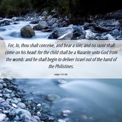 Picture 06 - Judges 13:5 KJV - For, lo, thou shalt conceive, and bear a son; and - Bible Verse Picture