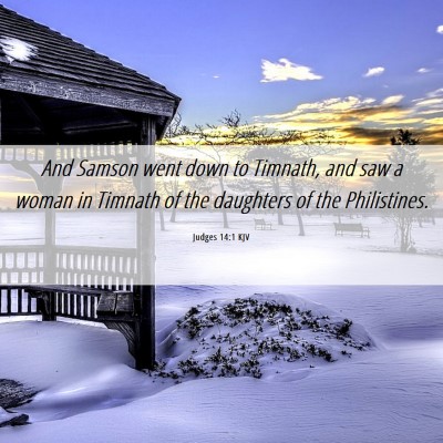 Picture 06 - Judges 14:1 KJV - And Samson went down to Timnath, and saw a woman - Bible Verse Picture