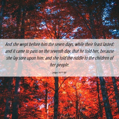 Picture 06 - Judges 14:17 KJV - And she wept before him the seven days, while - Bible Verse Picture