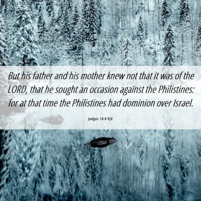 Picture 06 - Judges 14:4 KJV - But his father and his mother knew not that it - Bible Verse Picture