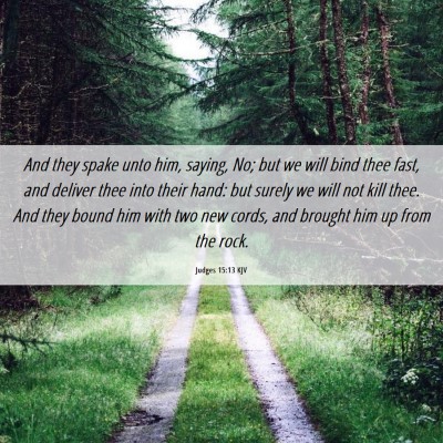 Picture 06 - Judges 15:13 KJV - And they spake unto him, saying, No; but we will - Bible Verse Picture