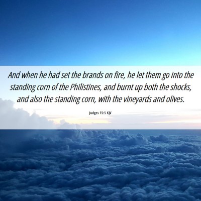 Picture 06 - Judges 15:5 KJV - And when he had set the brands on fire, he let - Bible Verse Picture