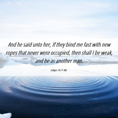 Picture 06 - Judges 16:11 KJV - And he said unto her, If they bind me fast with - Bible Verse Picture
