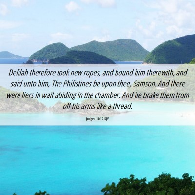 Picture 06 - Judges 16:12 KJV - Delilah therefore took new ropes, and bound him - Bible Verse Picture