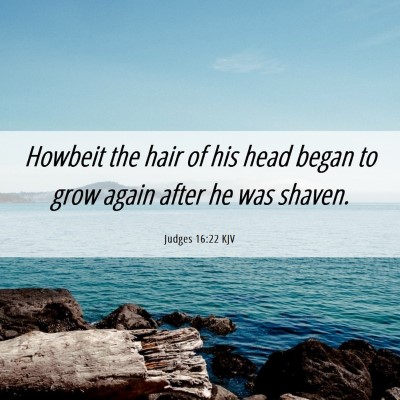 Picture 06 - Judges 16:22 KJV - Howbeit the hair of his head began to grow again - Bible Verse Picture