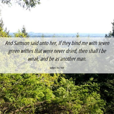 Picture 06 - Judges 16:7 KJV - And Samson said unto her, If they bind me with - Bible Verse Picture