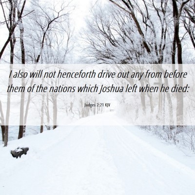 Picture 06 - Judges 2:21 KJV - I also will not henceforth drive out any from - Bible Verse Picture