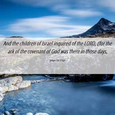 Picture 06 - Judges 20:27 KJV - And the children of Israel inquired of the LORD, - Bible Verse Picture