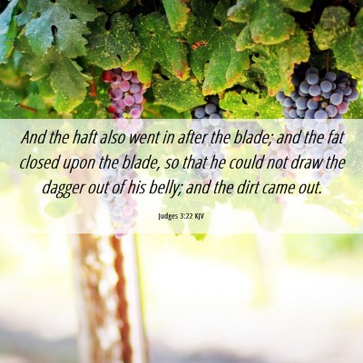 Picture 06 - Judges 3:22 KJV - And the haft also went in after the blade; and - Bible Verse Picture