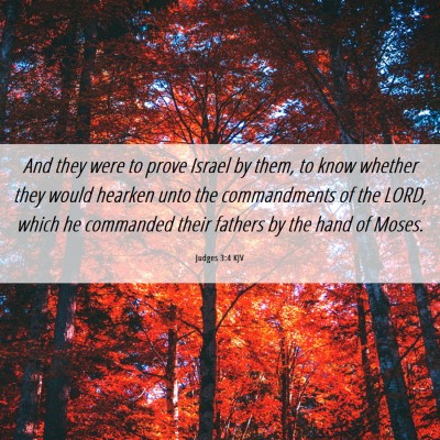 Picture 06 - Judges 3:4 KJV - And they were to prove Israel by them, to know - Bible Verse Picture
