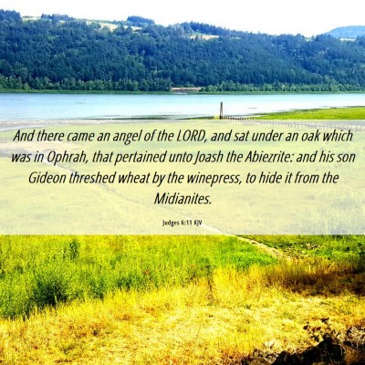 Picture 06 - Judges 6:11 KJV - And there came an angel of the LORD, and sat - Bible Verse Picture