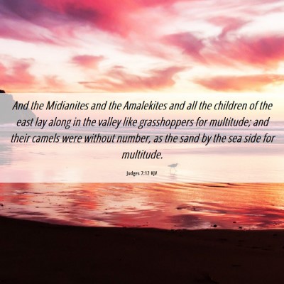 Picture 06 - Judges 7:12 KJV - And the Midianites and the Amalekites and all the - Bible Verse Picture