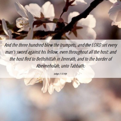 Picture 06 - Judges 7:22 KJV - And the three hundred blew the trumpets, and the - Bible Verse Picture
