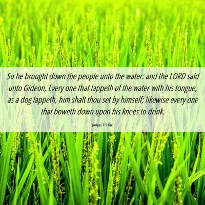 Picture 06 - Judges 7:5 KJV - So he brought down the people unto the water: and - Bible Verse Picture