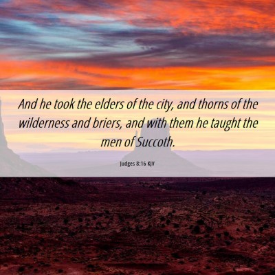 Picture 06 - Judges 8:16 KJV - And he took the elders of the city, and thorns of - Bible Verse Picture