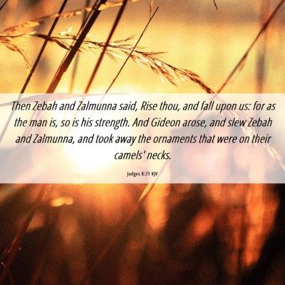 Picture 06 - Judges 8:21 KJV - Then Zebah and Zalmunna said, Rise thou, and fall - Bible Verse Picture