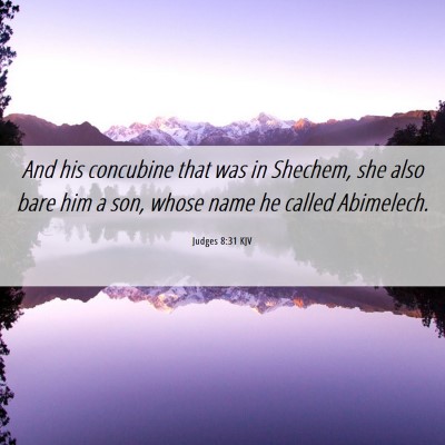 Picture 06 - Judges 8:31 KJV - And his concubine that was in Shechem, she also - Bible Verse Picture