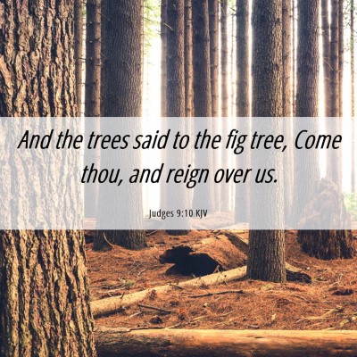 Picture 06 - Judges 9:10 KJV - And the trees said to the fig tree, Come thou, - Bible Verse Picture