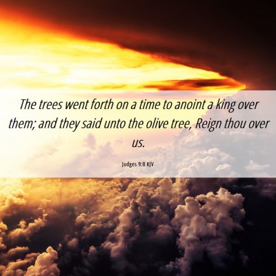 Picture 06 - Judges 9:8 KJV - The trees went forth on a time to anoint a king - Bible Verse Picture