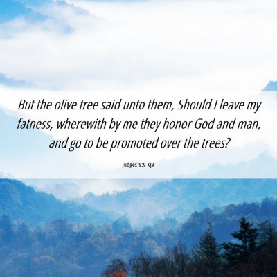Picture 06 - Judges 9:9 KJV - But the olive tree said unto them, Should I leave - Bible Verse Picture