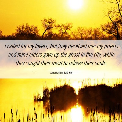 Picture 06 - Lamentations 1:19 KJV - I called for my lovers, but they deceived me: my - Bible Verse Picture